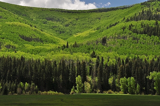 green mountainsides